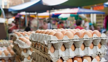 Market And Hawker Centre Relief Fund