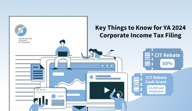 Corporate Income Tax 2024 Article