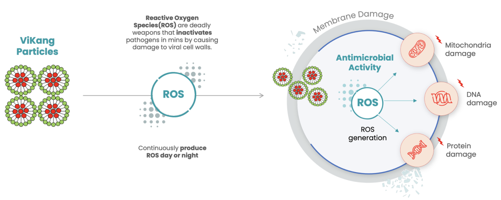 ViKang 99 - reactive oxygen species (ROS) 