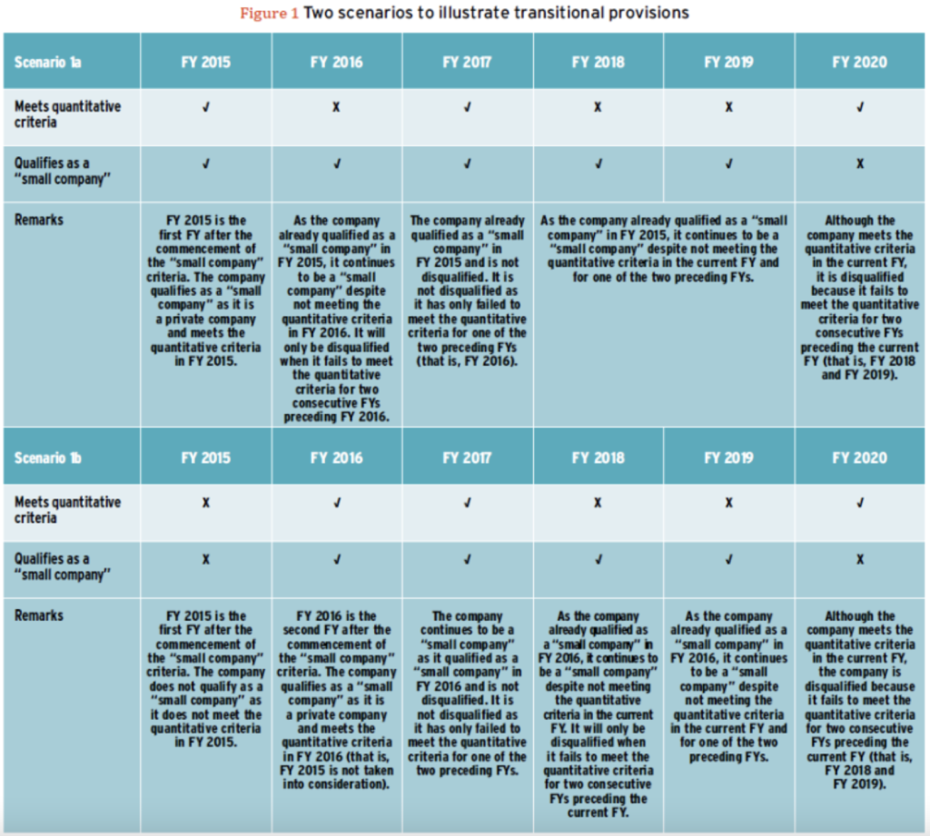 Small companies requirement for audit