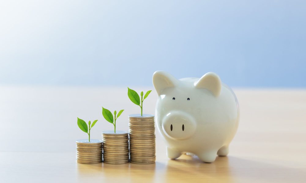 Short-term investments in T-bills, SSB, fixed deposit and cash management accounts